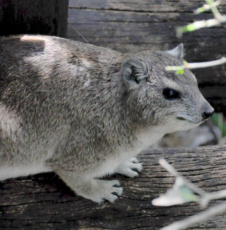 Melanie Heinrich Travel Images Africa